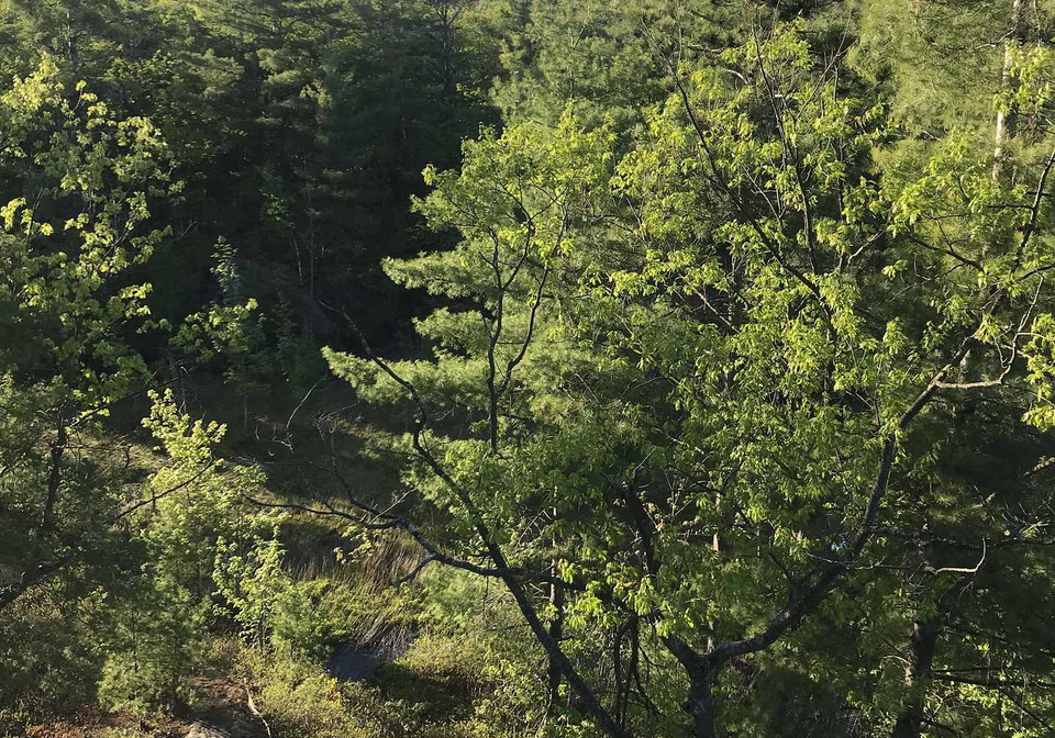 100-carrick-trail-gravenhurst-ontario-x13246558