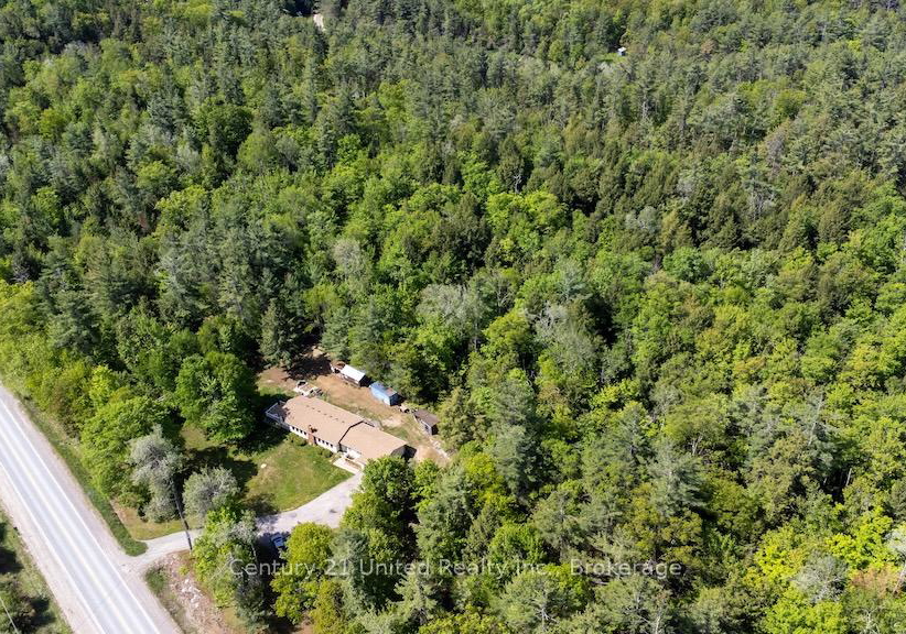 254-county-road-620-north-kawartha-ontario-x13246884