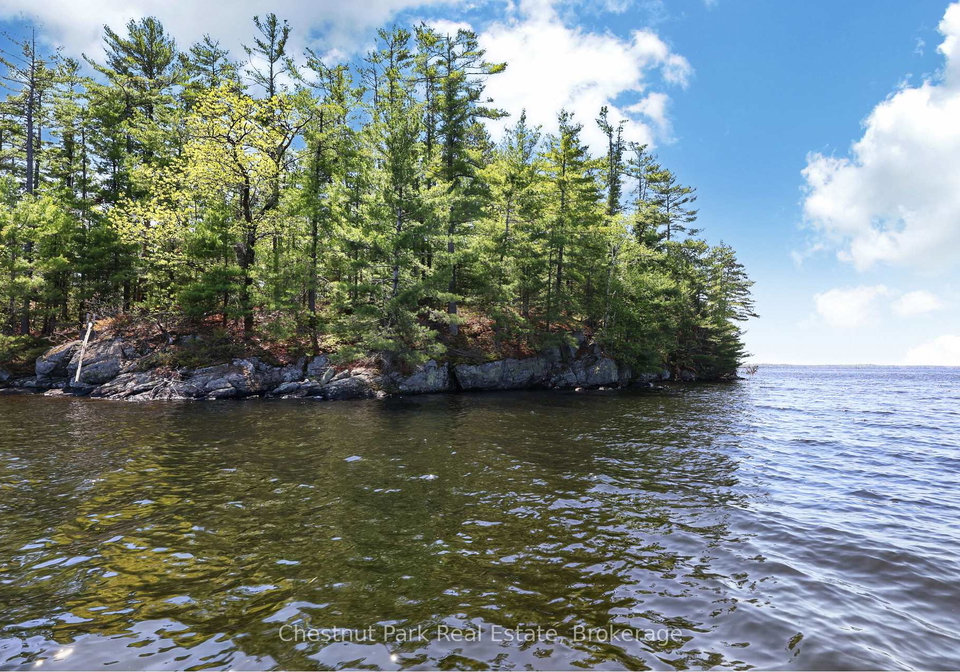 1-island-20ml-island-gravenhurst-ontario-x13247020