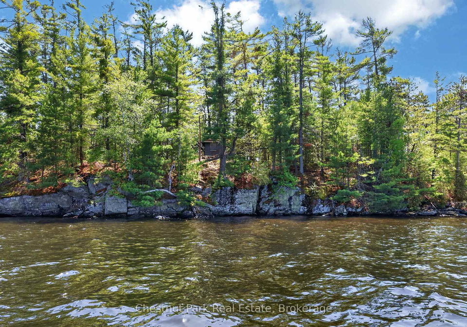 1-island-20ml-island-gravenhurst-ontario-x13247020