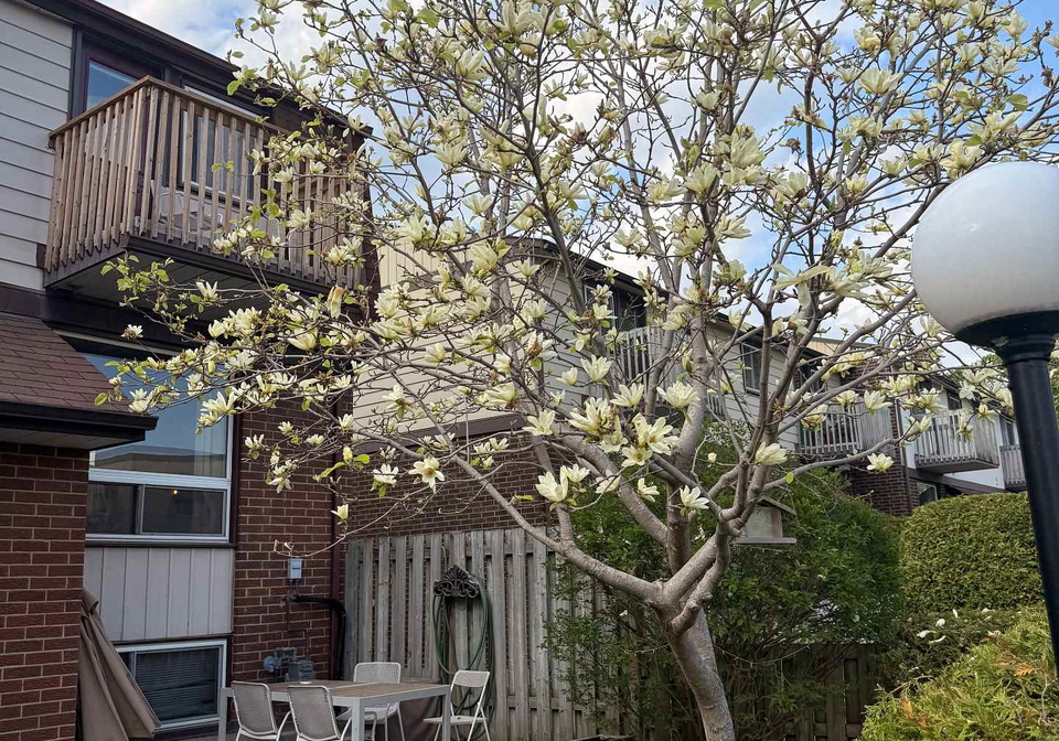 402-montfort-street-ottawa-ontario-x13247226