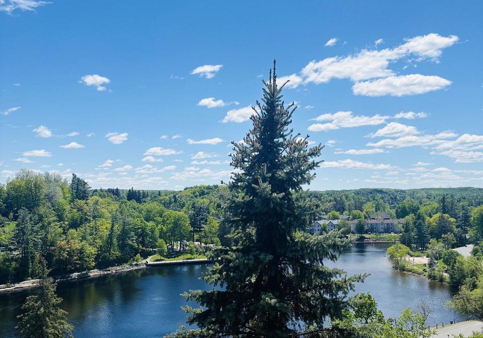 24-ontario-street-bracebridge-ontario-x13247300