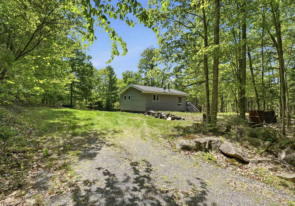 1499-tattersal-road-dysart-et-al-ontario-x13247406