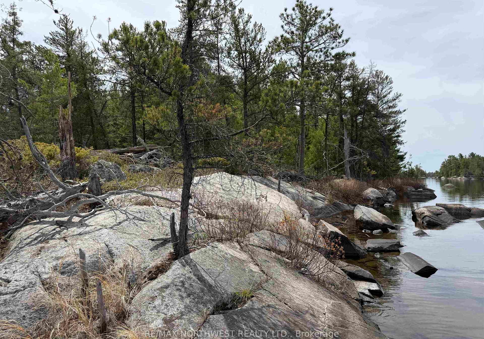 g-1262-island-rainy-river-remote-area-ontario-x13250662