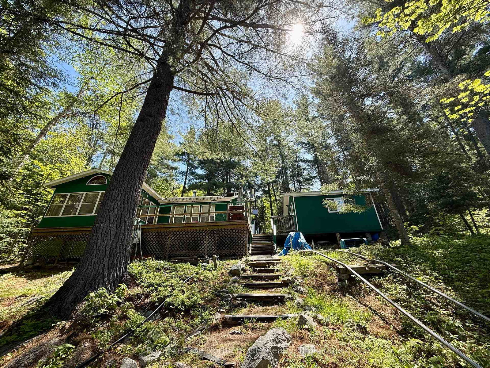 673-rabbit-lake-temagami-ontario-x13252604