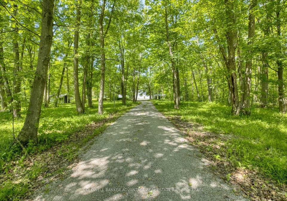 4706-miller-road-port-colborne-ontario-x13255696