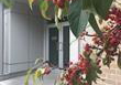 235-patterson-avenue-ottawa-ontario-x13274612