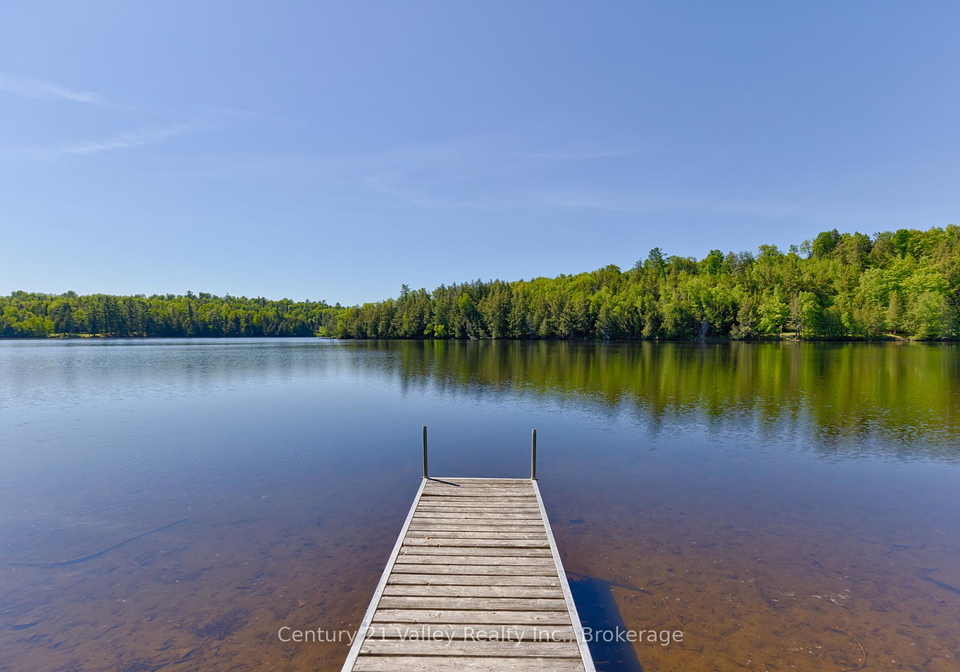 3233-calabogie-road-greater-madawaska-ontario-x13296038