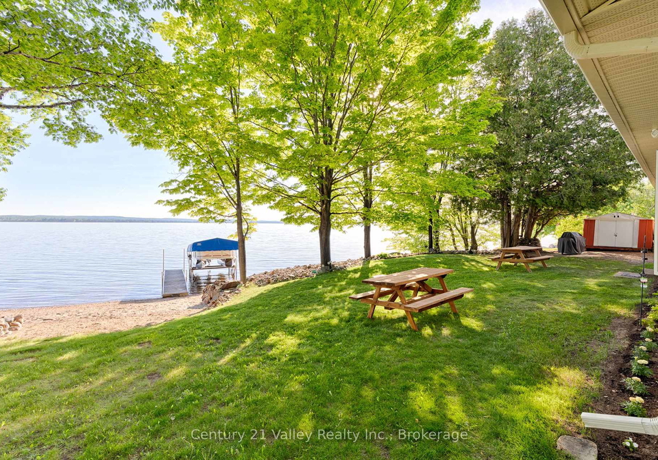 336-mcmillan-road-north-algona-wilberforce-ontario-x13410410