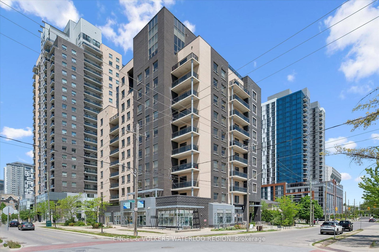 8-hickory-street-w-waterloo-ontario-x13411662