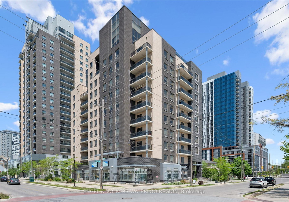 8-hickory-street-w-waterloo-ontario-x13411662