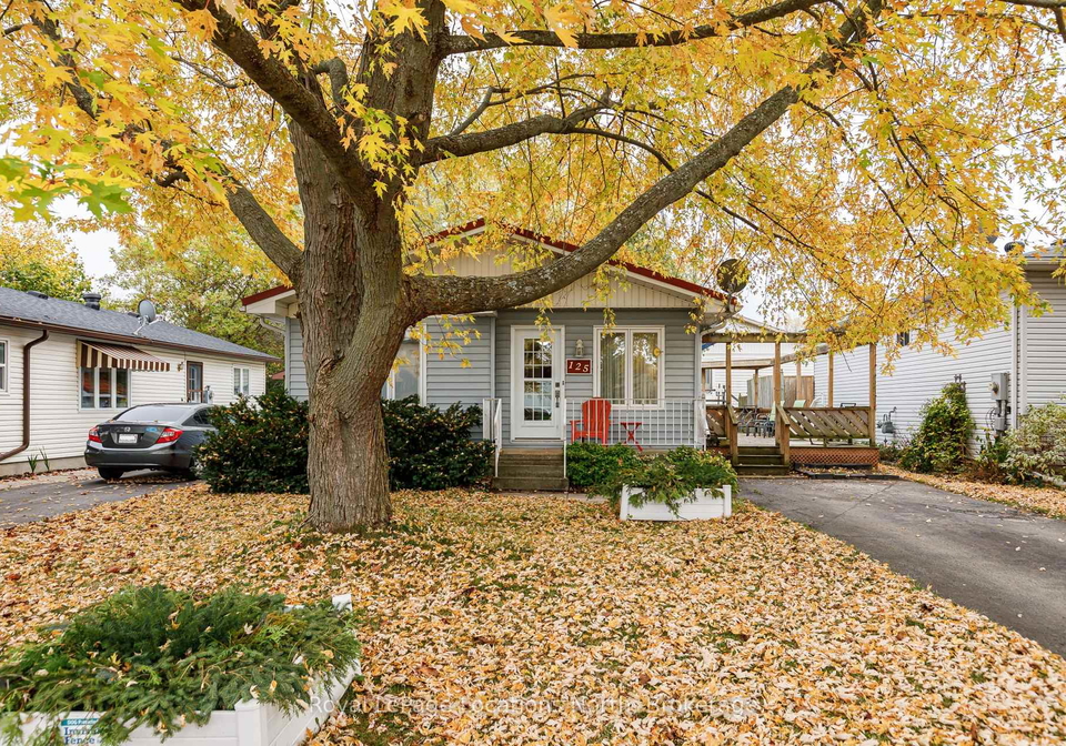 125-albert-street-meaford-ontario-x13412950
