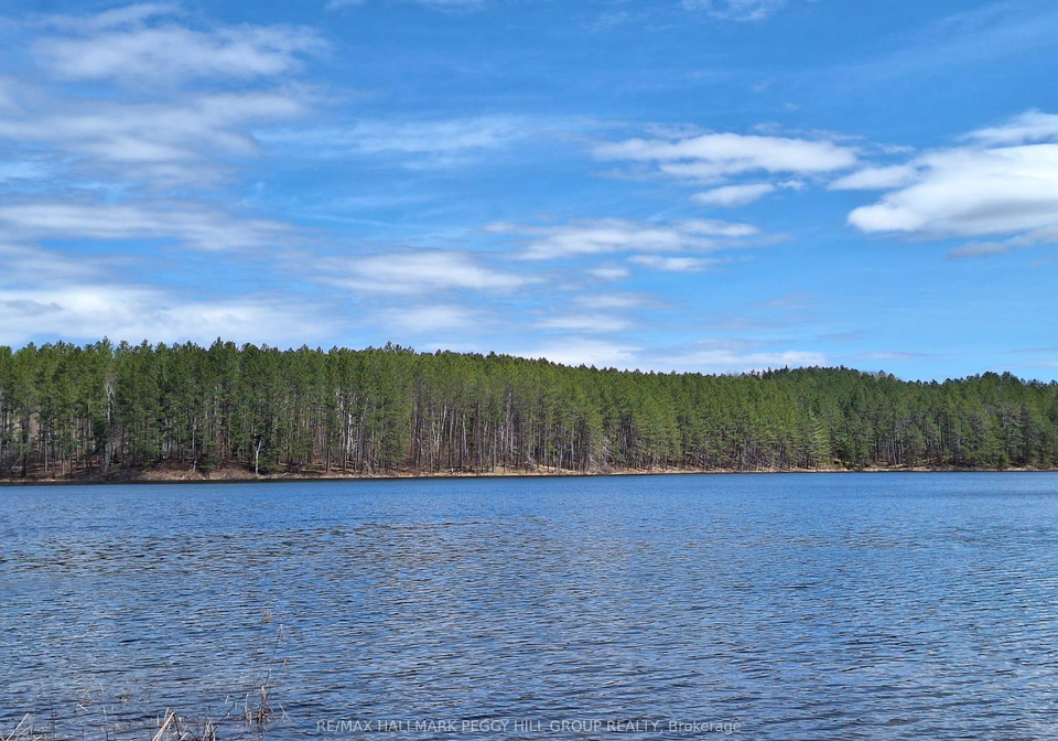 0-pioneer-road-bonfield-ontario-x13415294