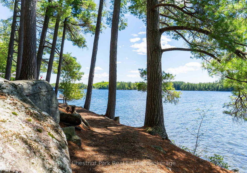 1198-1188-hemlock-point-road-muskoka-lakes-ontario-x13418348