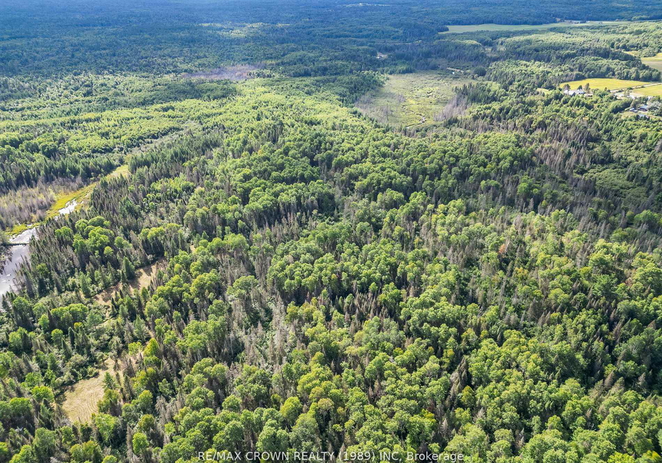 346-cameron-road-papineau-cameron-ontario-x13420464