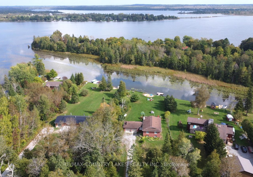 53-cedar-bay-road-kawartha-lakes-ontario-x13420886