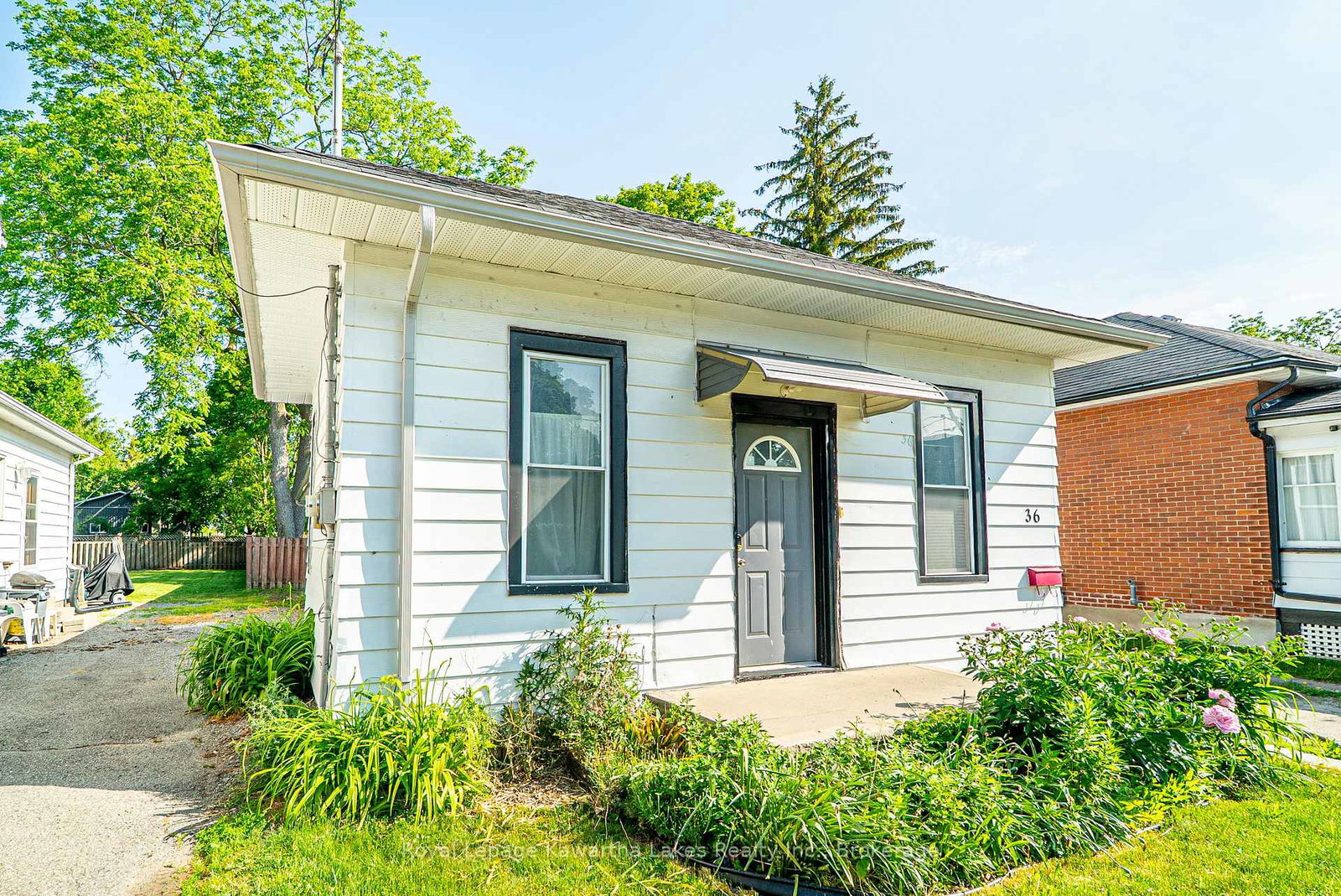 36-melbourne-street-w-kawartha-lakes-ontario-x13425676