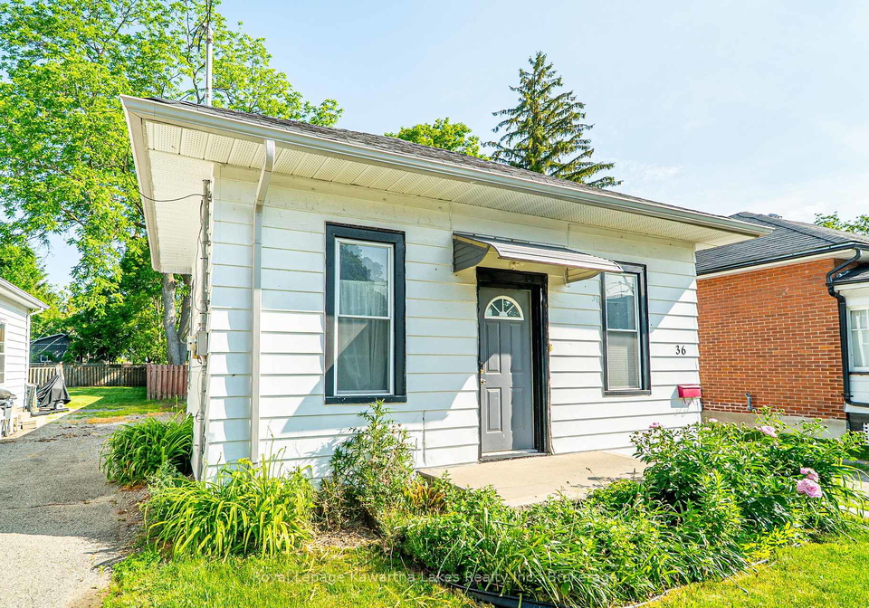 36-melbourne-street-w-kawartha-lakes-ontario-x13425676