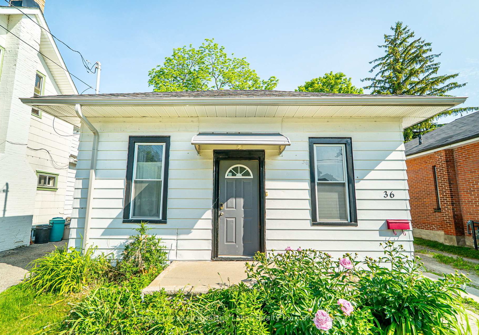 36-melbourne-street-w-kawartha-lakes-ontario-x13425676
