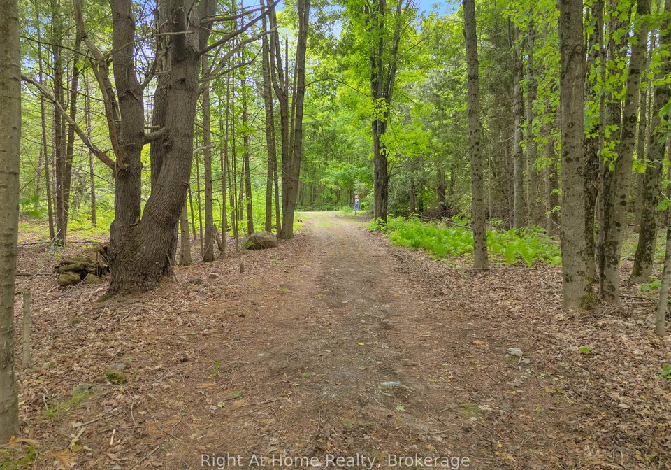 74-talbot-road-kawartha-lakes-ontario-x13427656