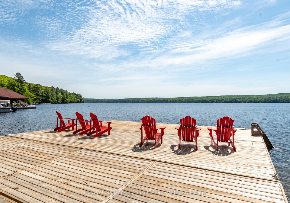12-bigwin-island-lake-of-bays-ontario-x13428812