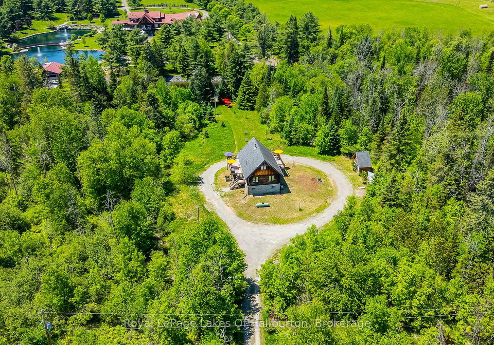 1393-hunter-creek-road-minden-hills-ontario-x13430532