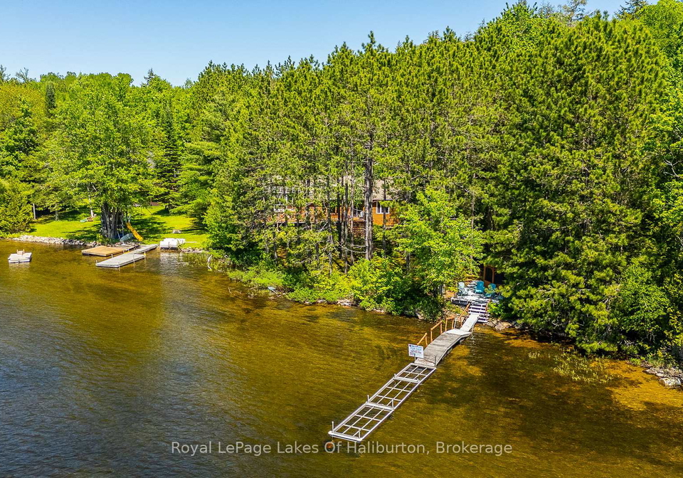 1349-trellis-trail-minden-hills-ontario-x13430566