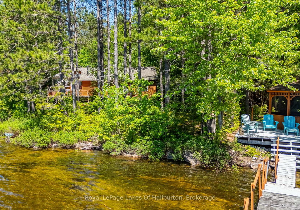 1349-trellis-trail-minden-hills-ontario-x13430566
