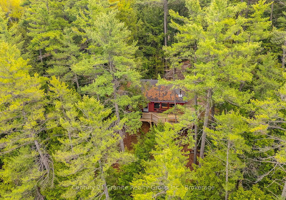 1153-bitter-lake-road-dysart-et-al-ontario-x13430722