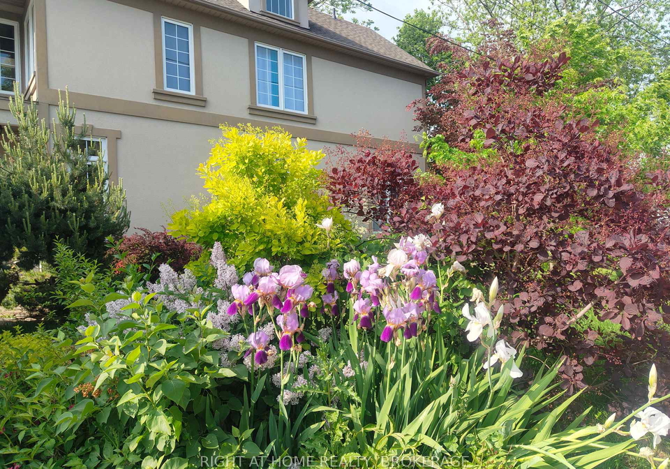 22-ursula-avenue-st-catharines-ontario-x13432216