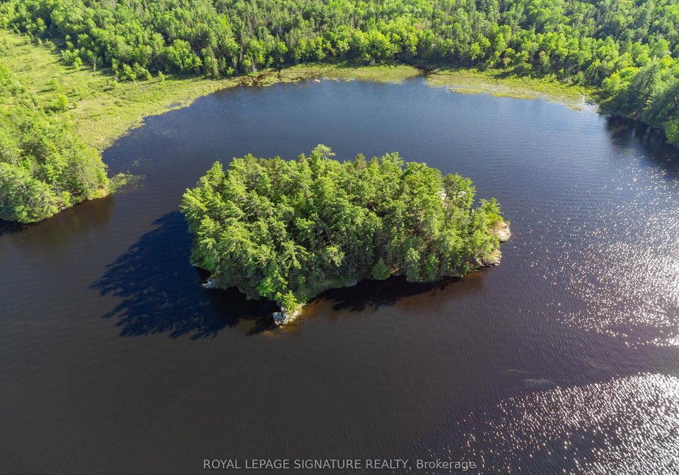 2-dads-rest-island-nipissing-ontario-x13432424