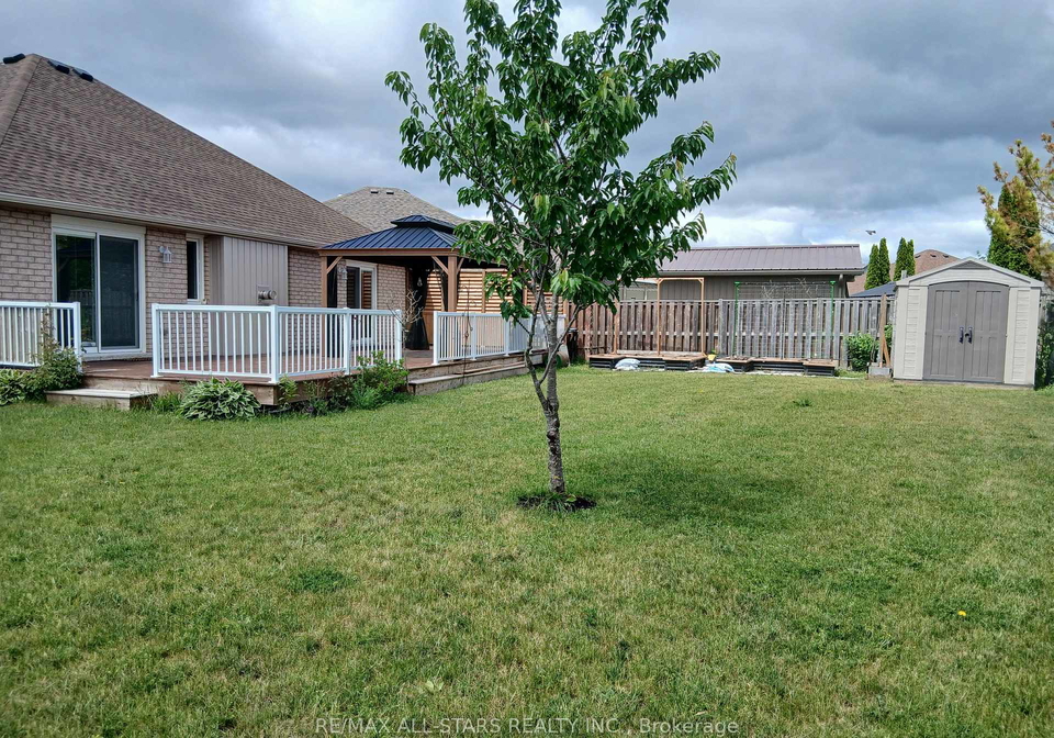65-liam-street-kawartha-lakes-ontario-x13432668