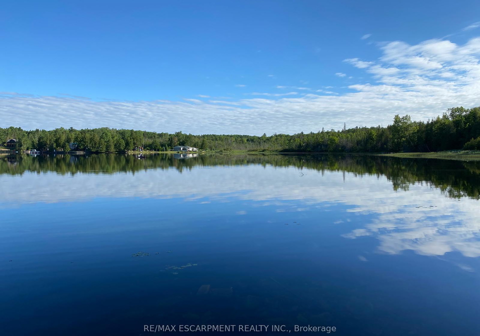372-gunter-lake-road-tudor-and-cashel-ontario-x13437234