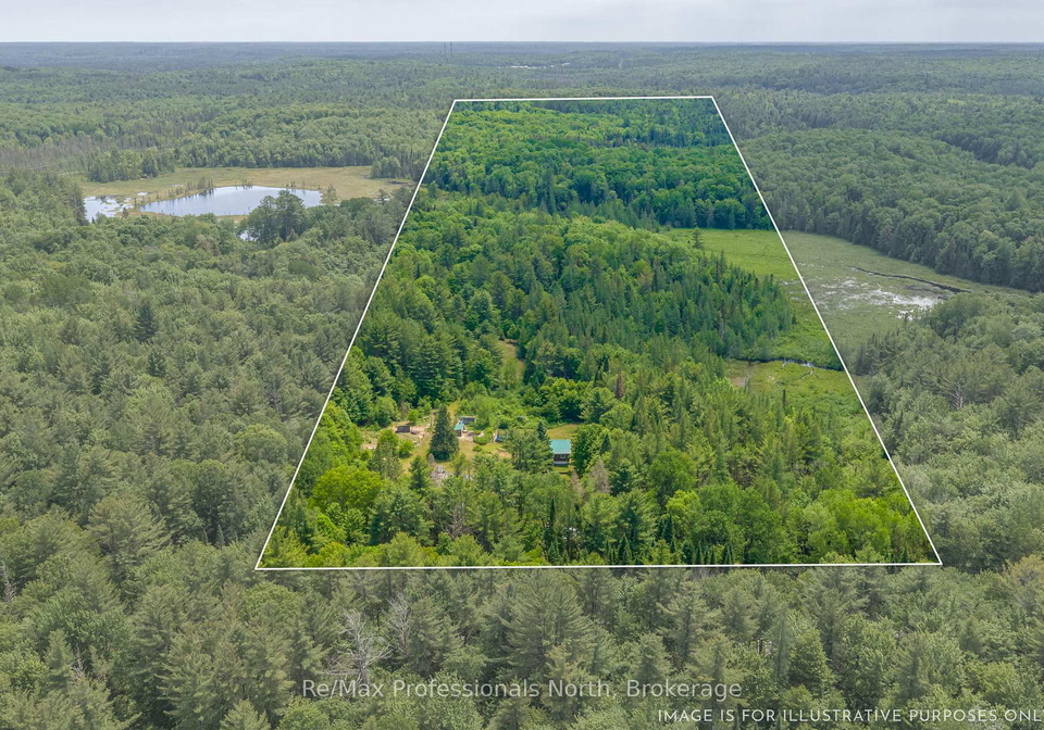 163-rose-lake-road-huntsville-ontario-x13437406
