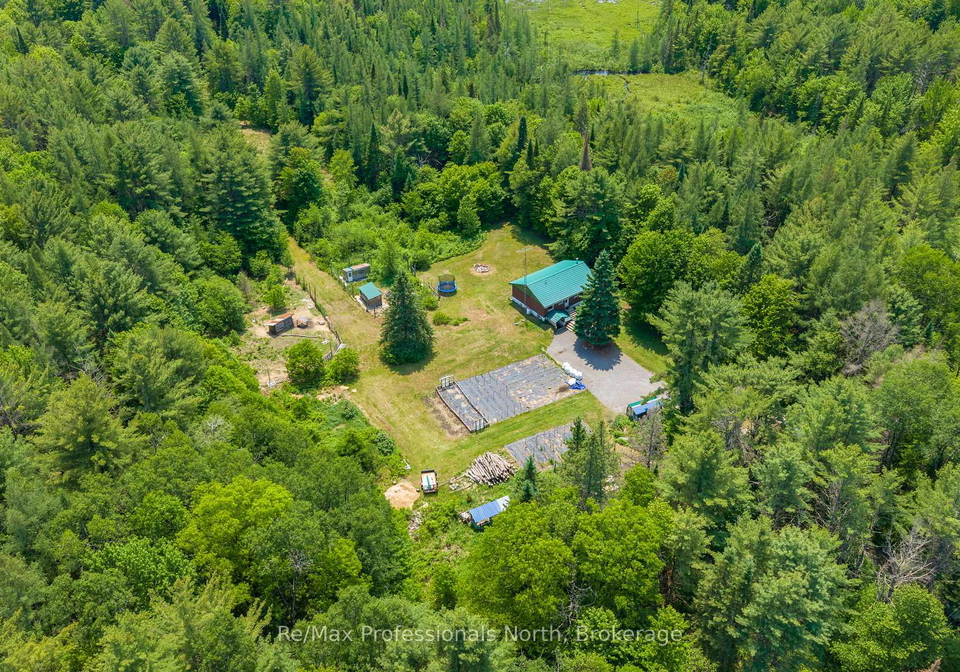 163-rose-lake-road-huntsville-ontario-x13437406