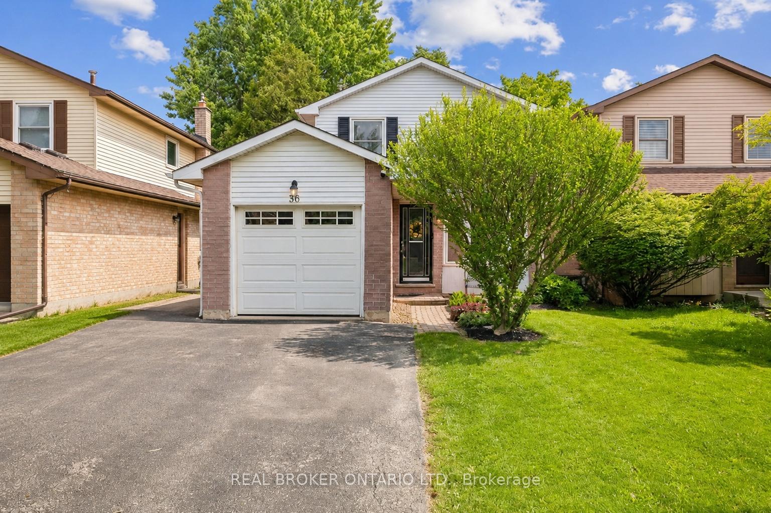 36-braeheid-avenue-hamilton-ontario-x13437788