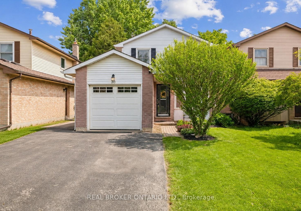 36-braeheid-avenue-hamilton-ontario-x13437788