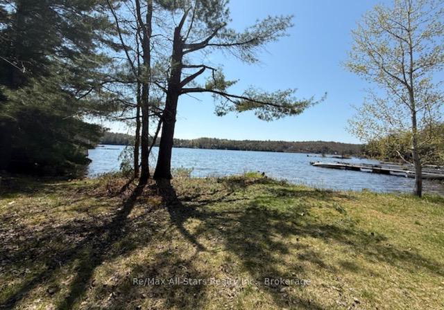 1019-osler-lane-minden-hills-ontario-x13438420