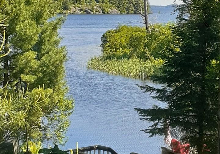 22-knowles-crescent-e-seguin-ontario-x13439748