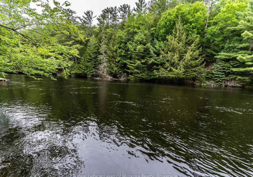 1136-springdale-shores-private-bracebridge-ontario-x13441144