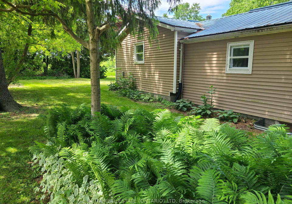 1-dundas-street-newbury-ontario-x13444580