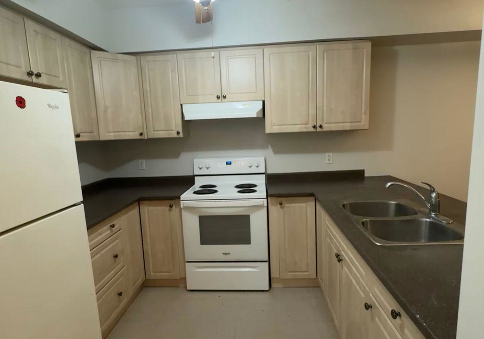 24-harris-avenue-brantford-ontario-x13445392