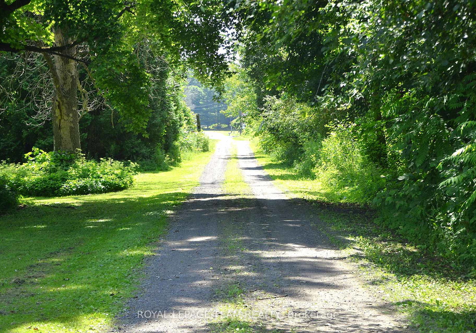 10355-broken-second-road-w-south-dundas-ontario-x13445900