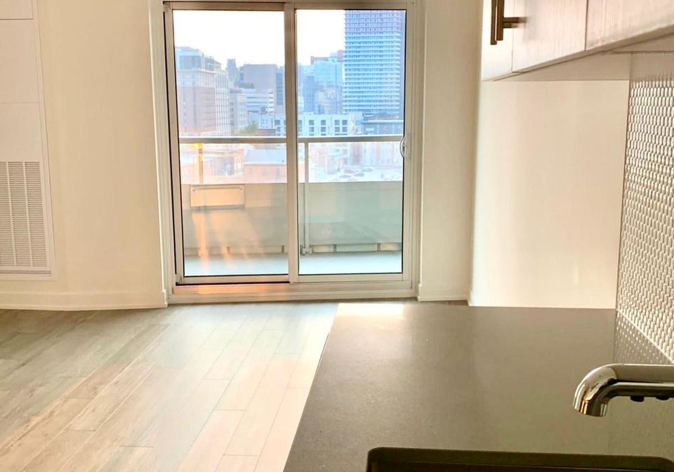 212-king-william-street-hamilton-ontario-x13446930