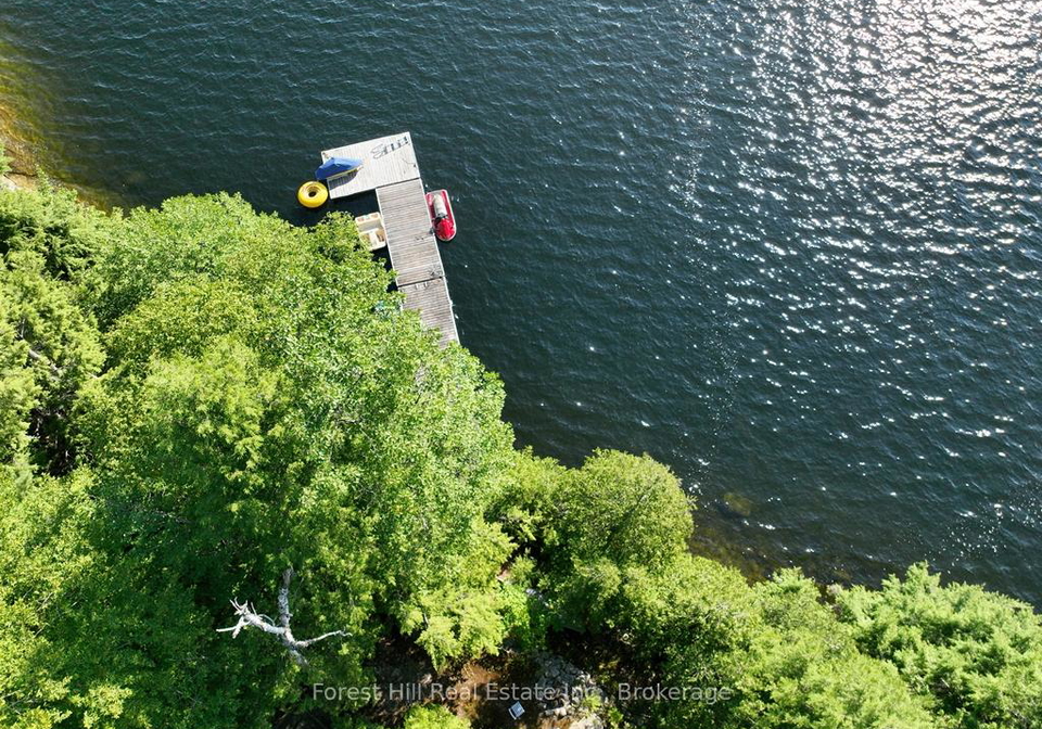 10689-kawagama-lake-wao-algonquin-highlands-ontario-x13450312