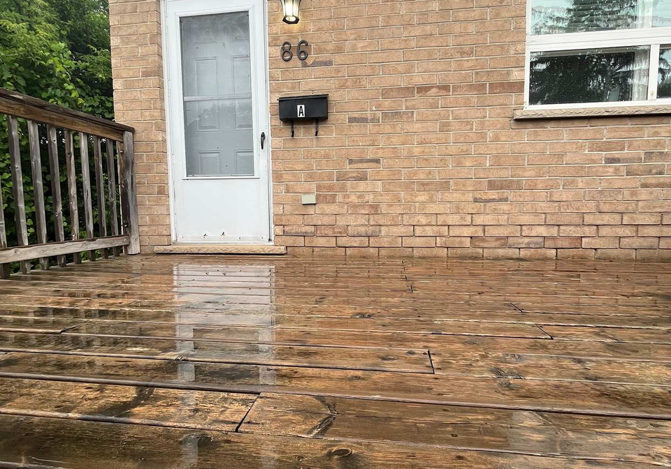 86a-morgan-avenue-kitchener-ontario-x13451268