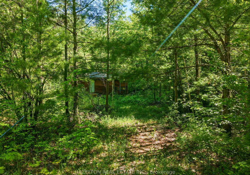 4-elsasser-road-seguin-ontario-x13452238