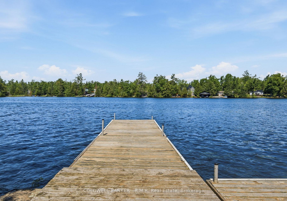 207-hall-drive-trent-lakes-ontario-x13452456