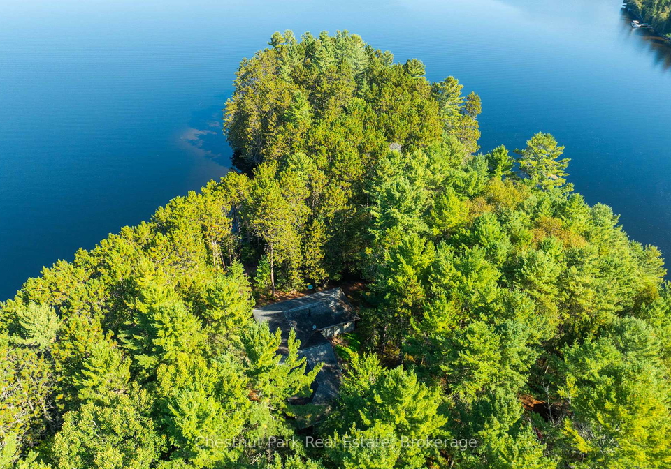 10000-soyers-brown-island-minden-hills-ontario-x13453806