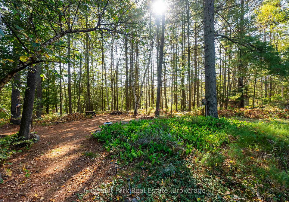 10000-soyers-brown-island-minden-hills-ontario-x13453806